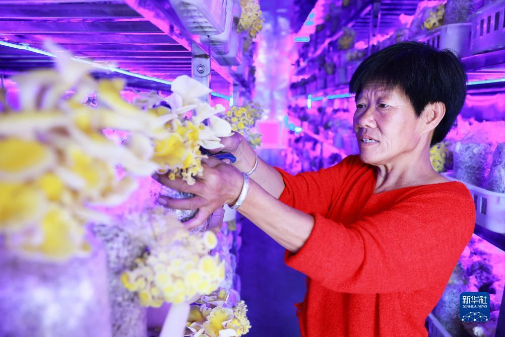 手机现金连环夺宝下载